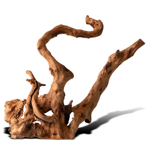 Shizen Essence J-roots S - małe korzenie japońskie Mizube i Ryuboku Shizen Essence J-roots S - małe korzenie japońskie Mizube i Ryuboku