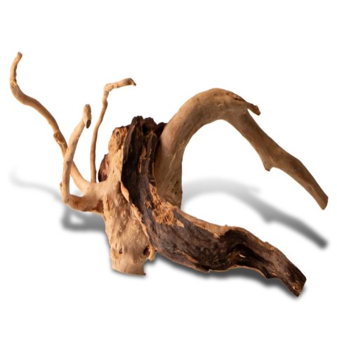 Shizen Essence J-roots S - małe korzenie japońskie Mizube i Ryuboku Shizen Essence J-roots S - małe korzenie japońskie Mizube i Ryuboku