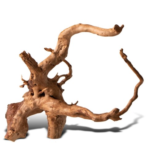 Shizen Essence J-roots S - małe korzenie japońskie Mizube i Ryuboku Shizen Essence J-roots S - małe korzenie japońskie Mizube i Ryuboku