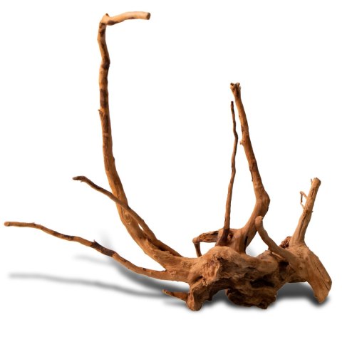 Shizen Essence J-roots S - małe korzenie japońskie Mizube i Ryuboku Shizen Essence J-roots S - małe korzenie japońskie Mizube i Ryuboku