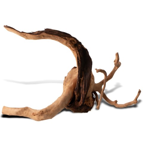 Shizen Essence J-roots S - małe korzenie japońskie Mizube i Ryuboku Shizen Essence J-roots S - małe korzenie japońskie Mizube i Ryuboku