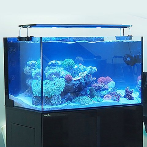 Zetlight Horizon QMAVEN II Q6-90 - lampa LED 170W Marine Zetlight Horizon QMAVEN II Q6-90 - lampa LED 170W Marine